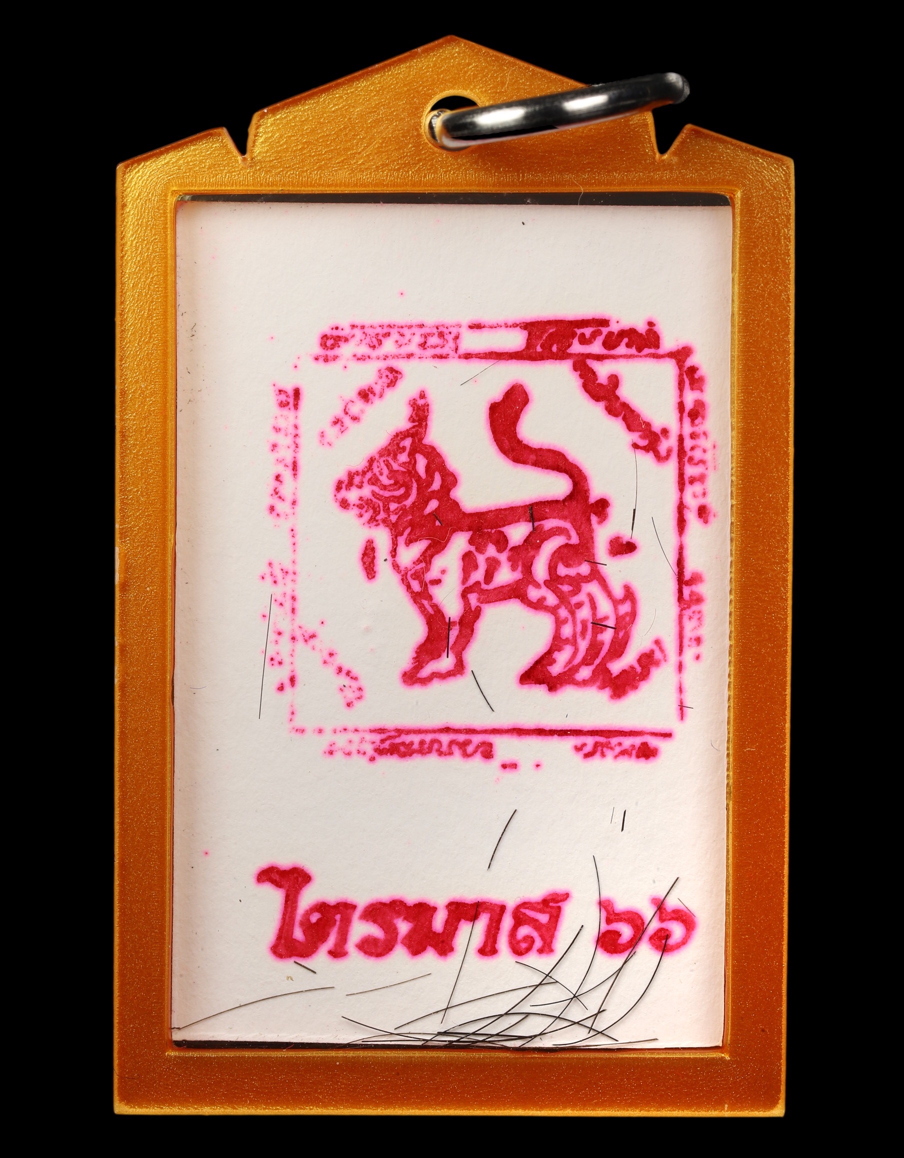 Photographs with Singha Stamp on Back – Trimester Edition B.E. 2566 (2023) - Image 2